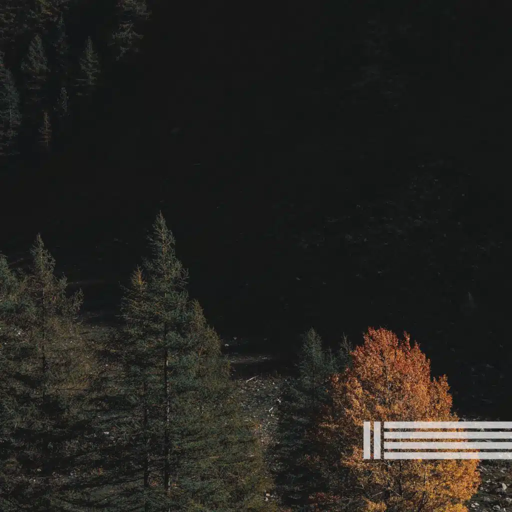 밤 소리, 더 나은 수면