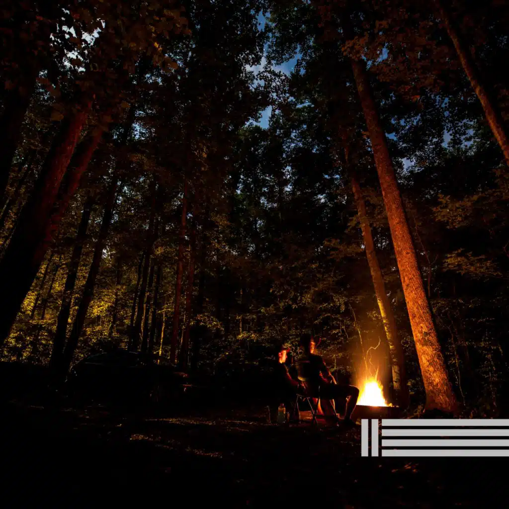 Sons Da Noite, Som De Grilos & Zona de Sons da Natureza