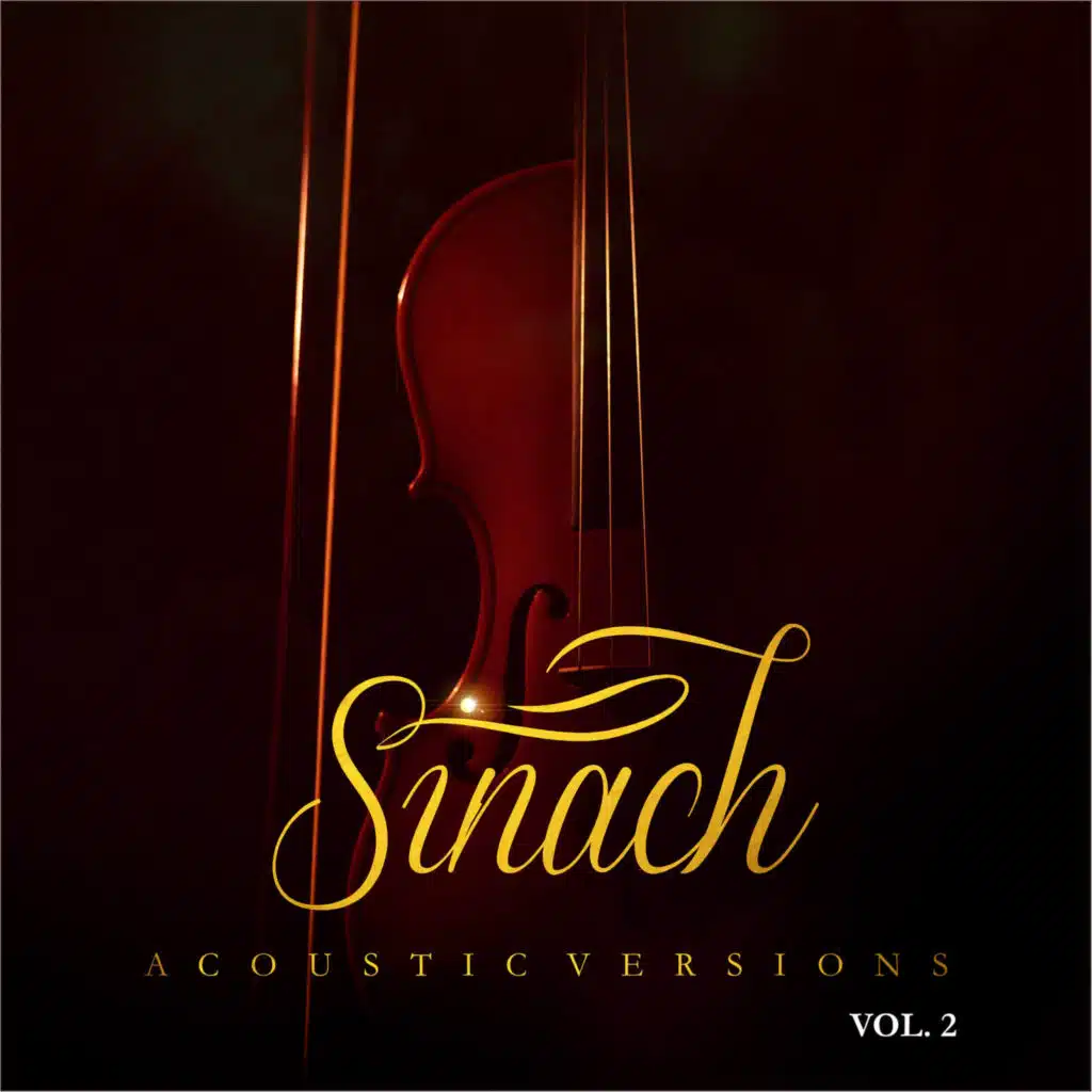 Acoustic Versions, Vol. 2