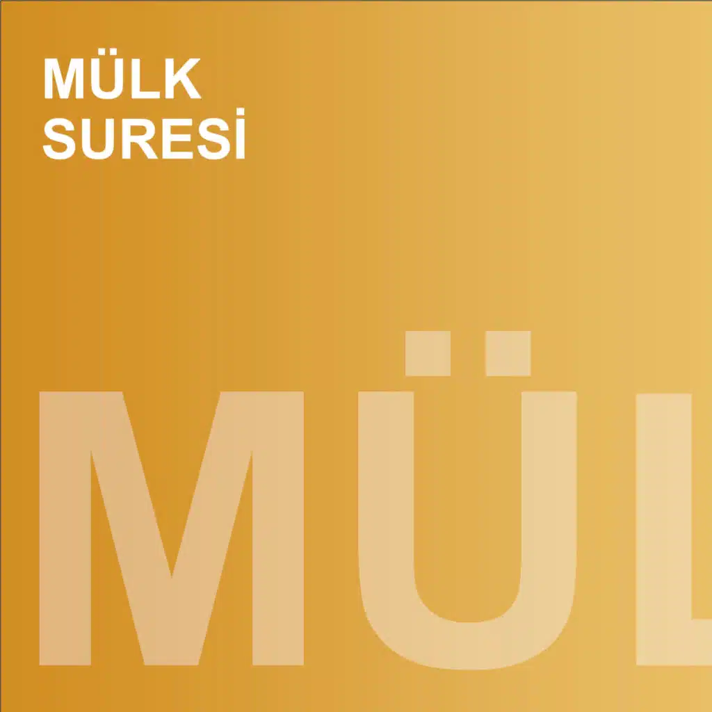 Yasin Suresi (feat. Muhammed Mekin Kayaş)