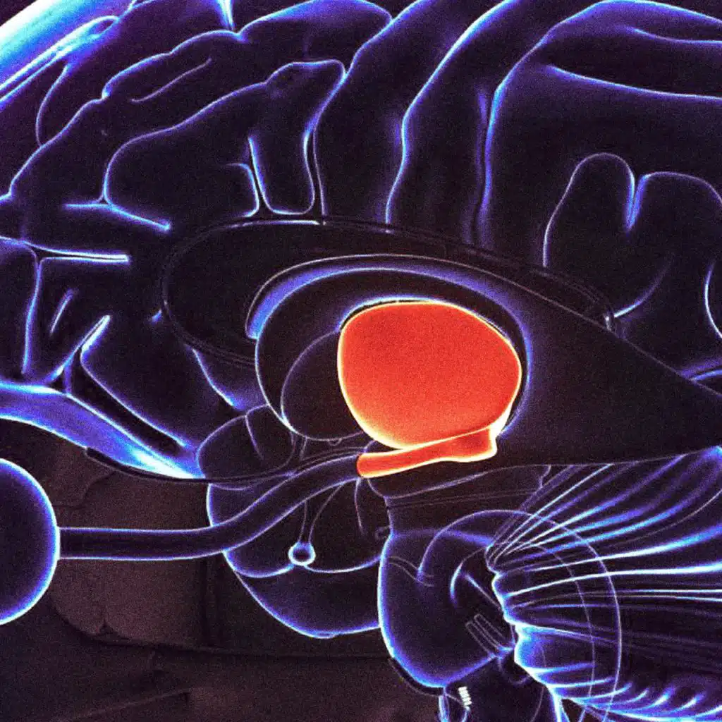 dolore al plesso solare