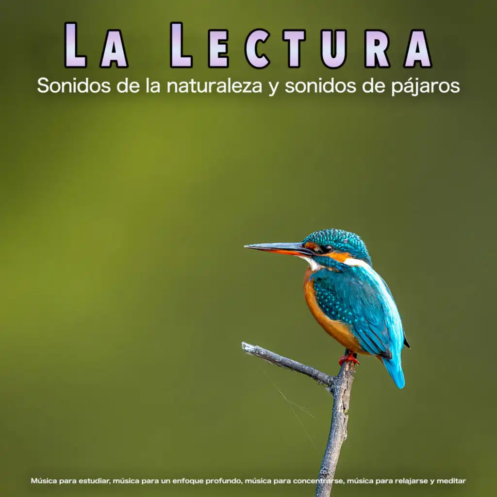 La Lectura - Sonidos de la naturaleza y sonidos de pájaros - Música para estudiar, música para un enfoque profundo, música para concentrarse, música para relajarse y meditar