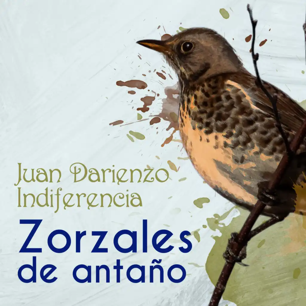 Zorzales de Antaño - Juan Darienzo - Indiferencia