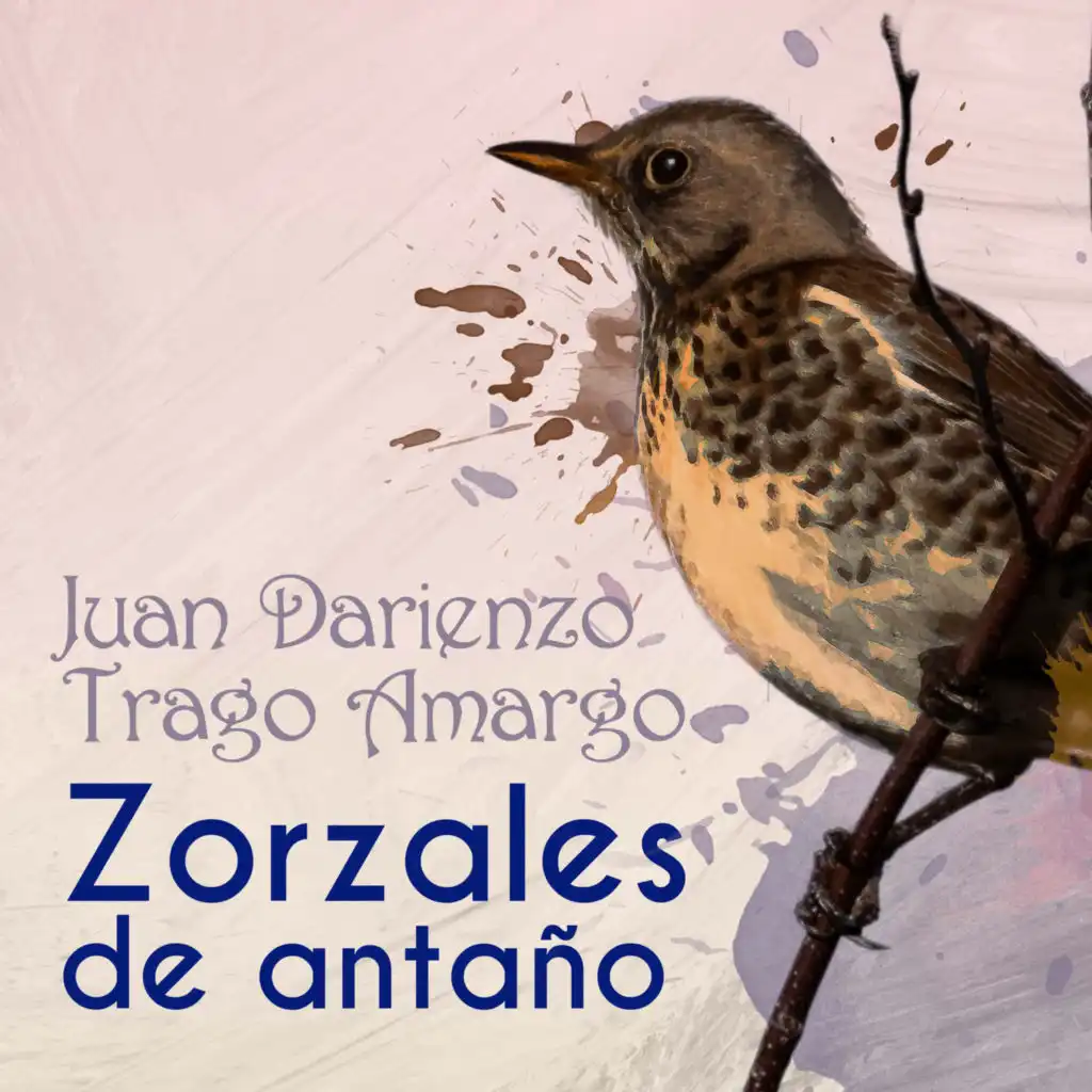 Orquesta De Juan Darienzo & Alberto Echague
