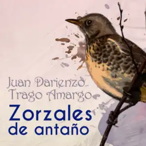 Orquesta De Juan Darienzo & Armando Laborde