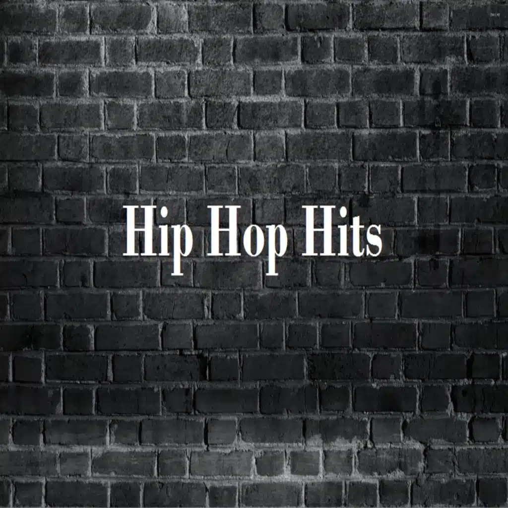 Hip Hop Hits