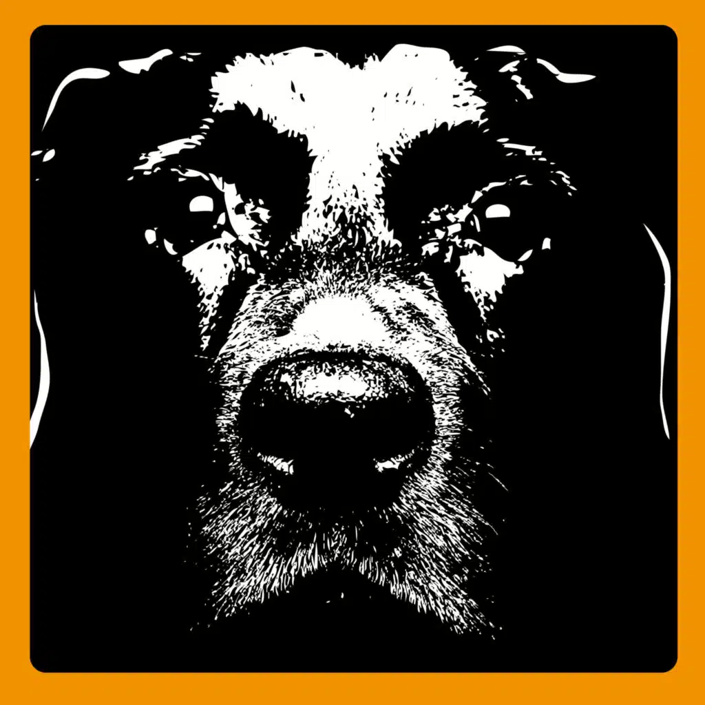 Harbour (Cesare vs Disorder Remix)