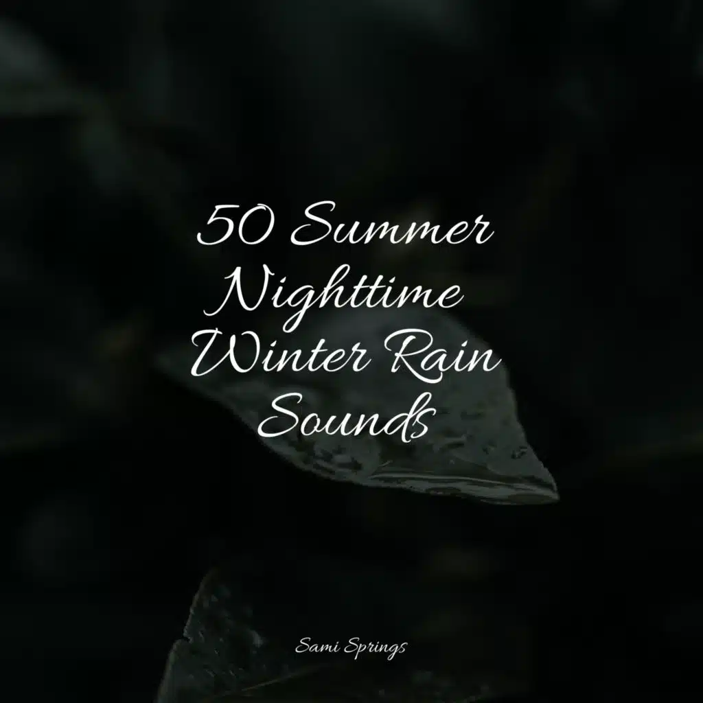 Birds Near Still Waters