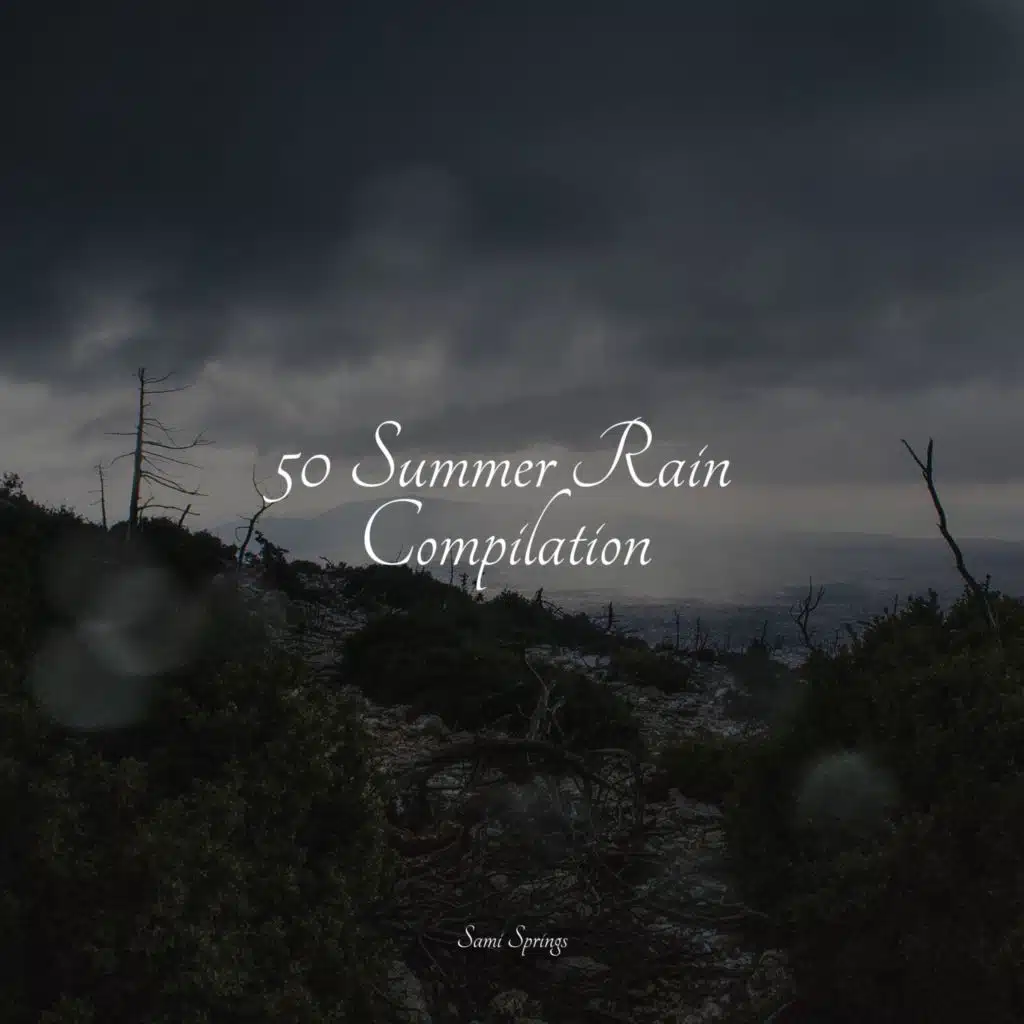 Naturaleza Relajacion