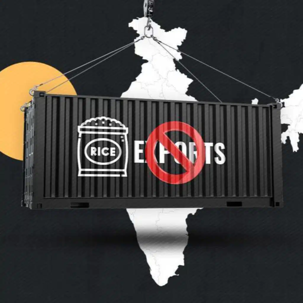 An explainer on India’s rice ban