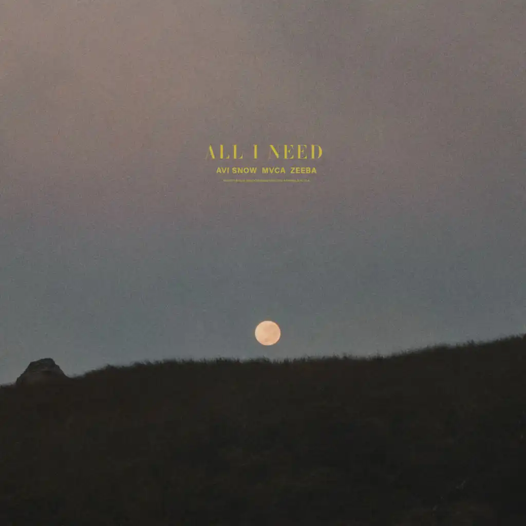 Zeeba, Avi Snow & MVCA