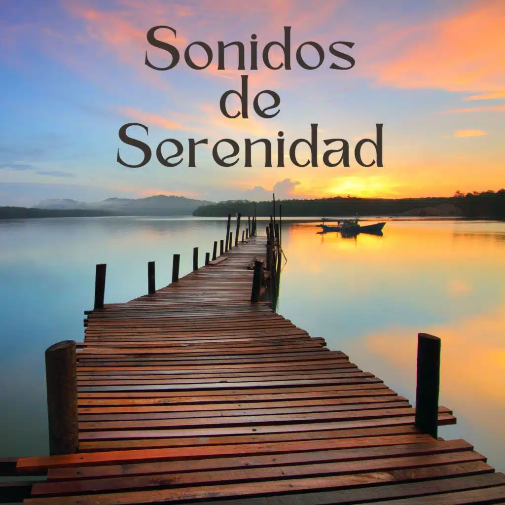 Musica Indiana Sonido