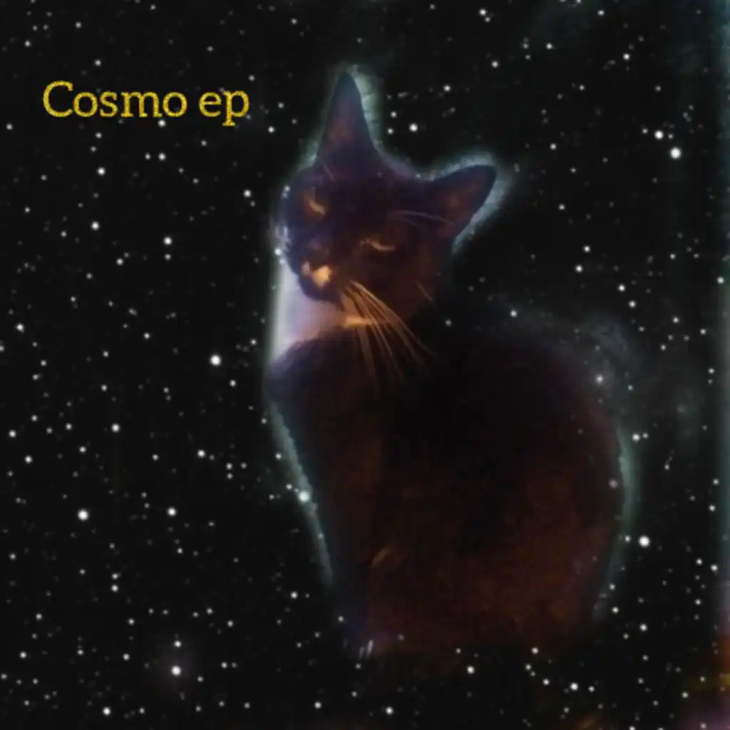 cosmos