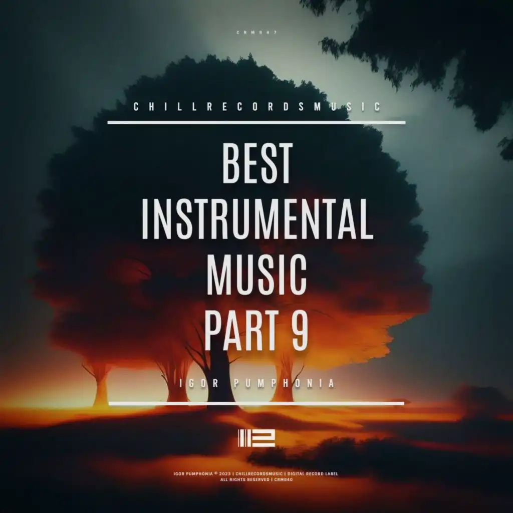 Best Instrumental Music, Pt. 9