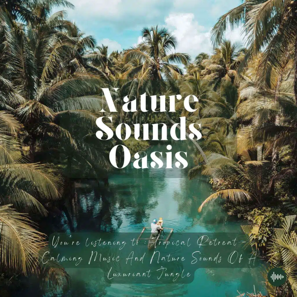 Tropical Forest Soundscape With Nature Sounds & Relaxing Music For Sleep, Meditation, Relaxation Or Focus | Sleep Music, Sleep Sounds, Music To Sleep,...