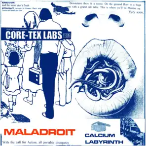 Core-Tex Labs, Vol. 15 (Calcium Labyrinth)