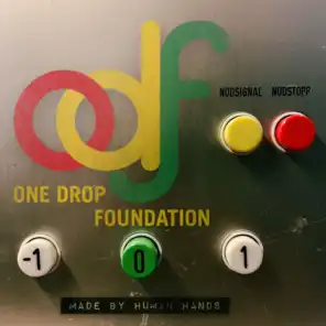 One Drop Foundation