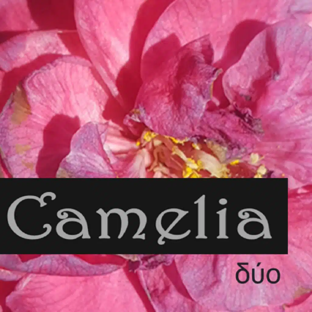 Desde Un Rincón Perdido