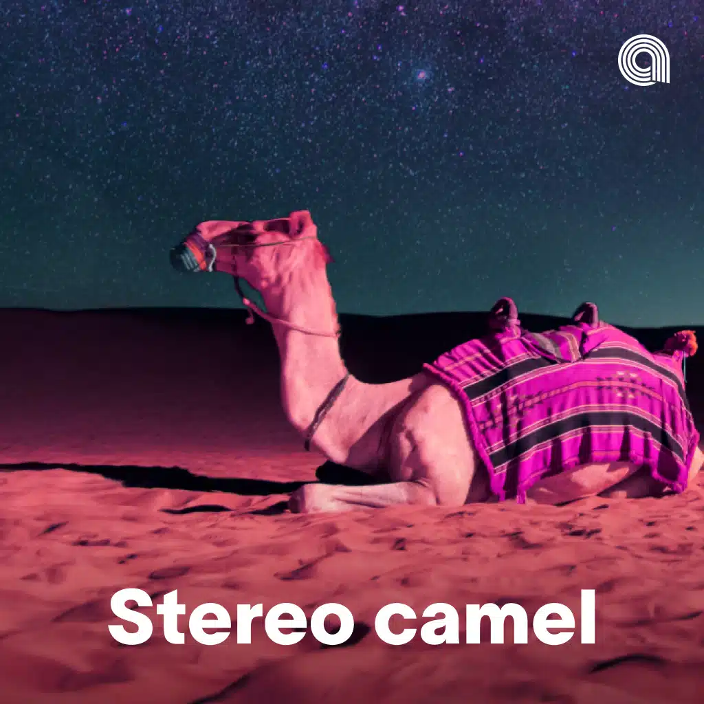 Stereo Camel