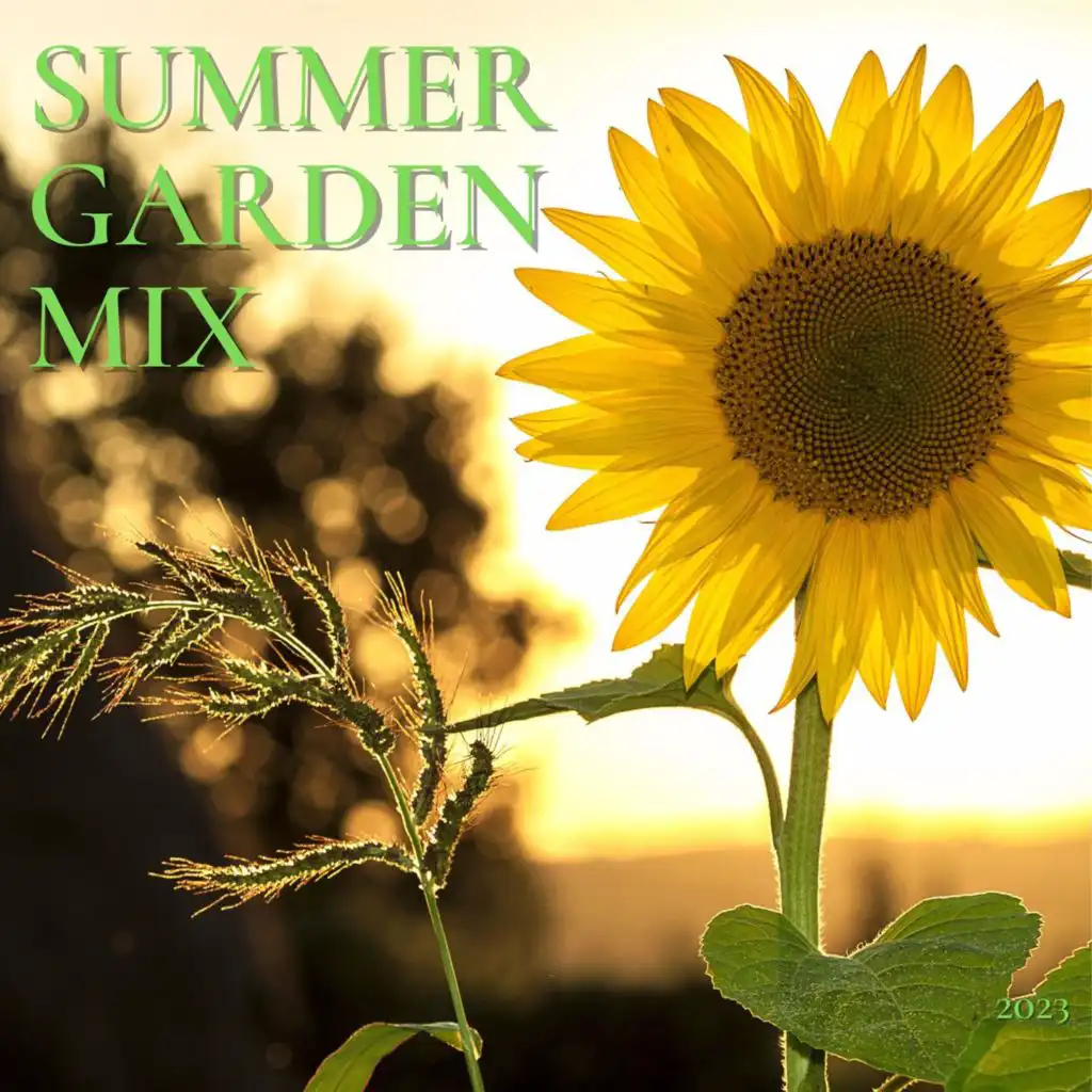 Summer Garden Mix 2023