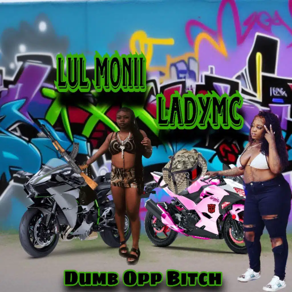 Dumb Opp Bitch (feat. Lul Monii)