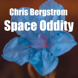 Chris Bergstrom