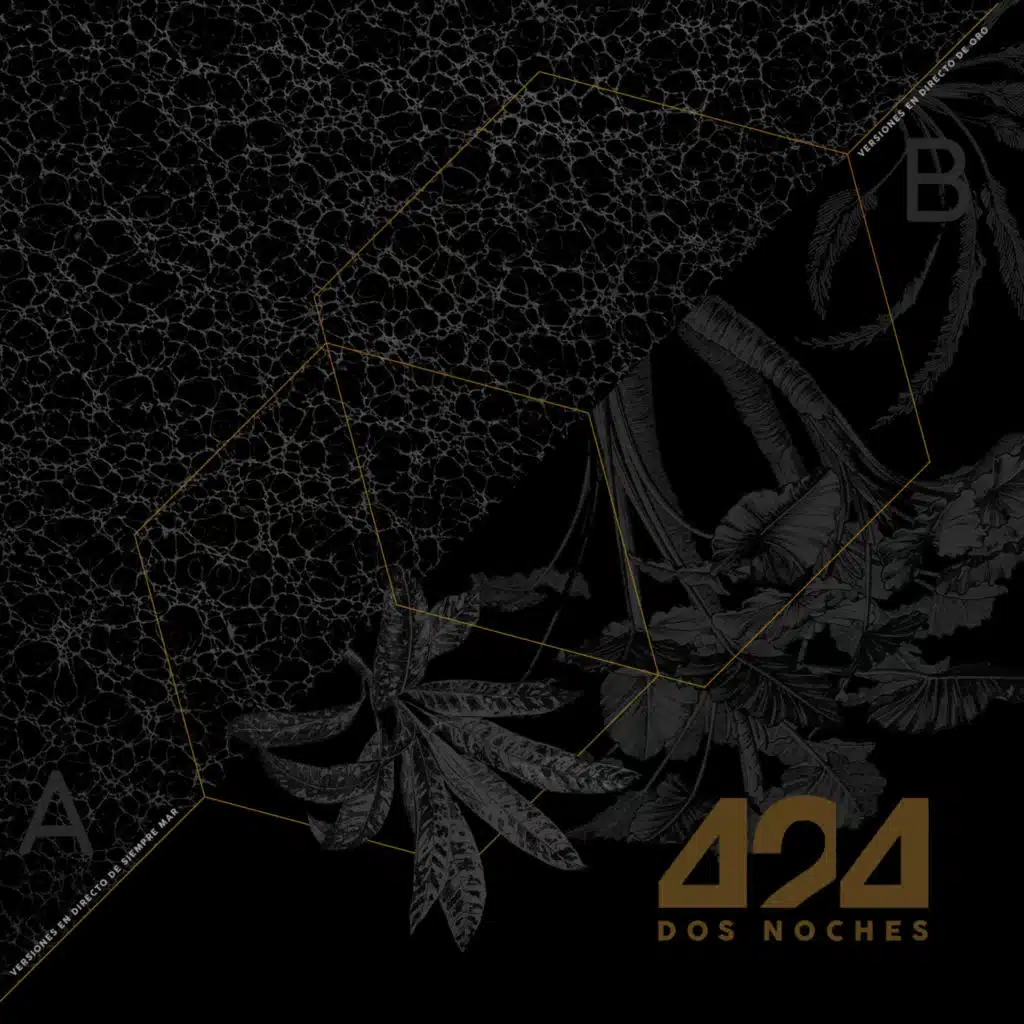 Dos Noches (En Vivo)