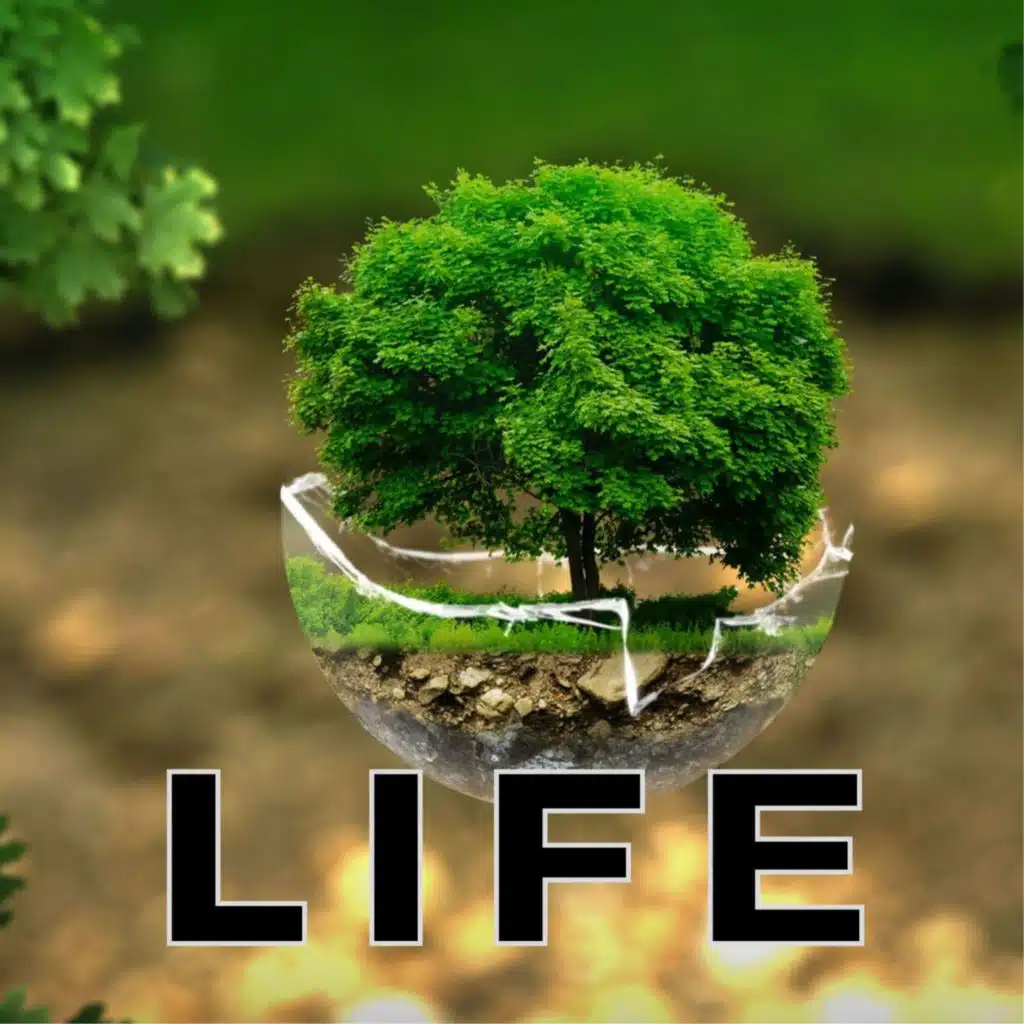 今夜君を迎えに行く (ピアノバッキングシンプルアレンジリミックスバージョン) [feat. 2strings]