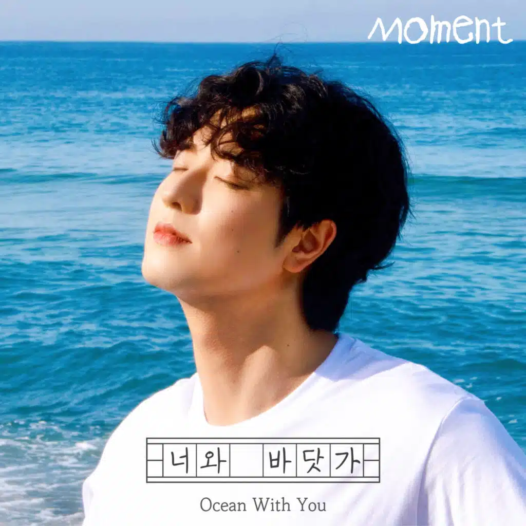 모먼트 (Moment)