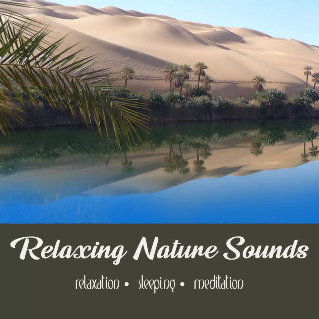 Awbari Oasis | One Hour