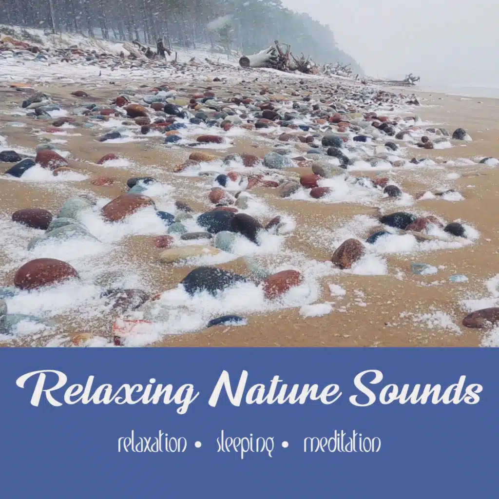 Snow Storm at Sea (No Birds For Sleep) | One Hour