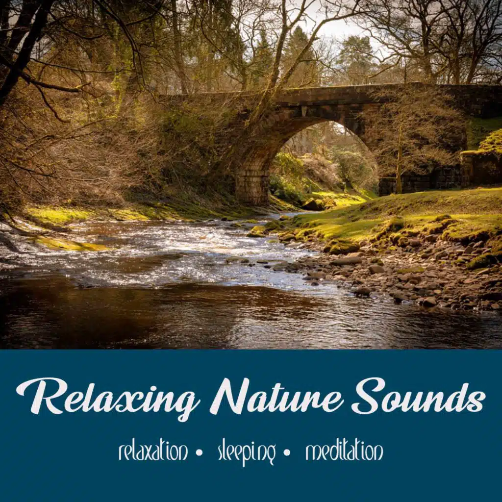 The River Under the Bridge | One Hour