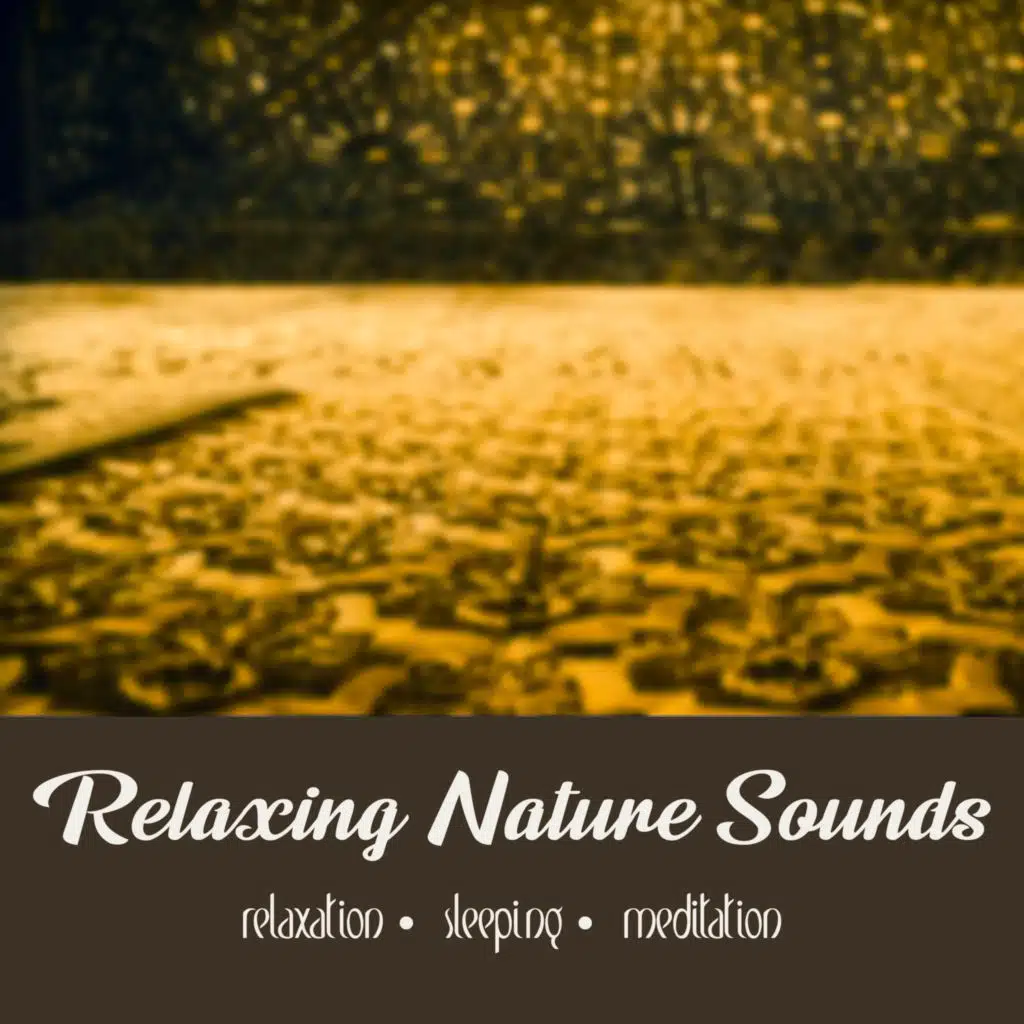 Song of the Cicada | 20 Min Reflection