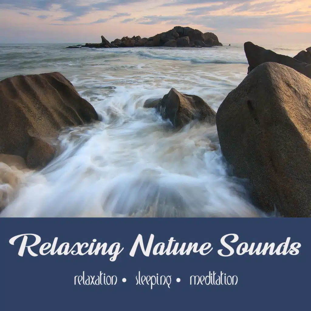 Ocean Waves & Tide Pools (For Sleep) | Eight Hours