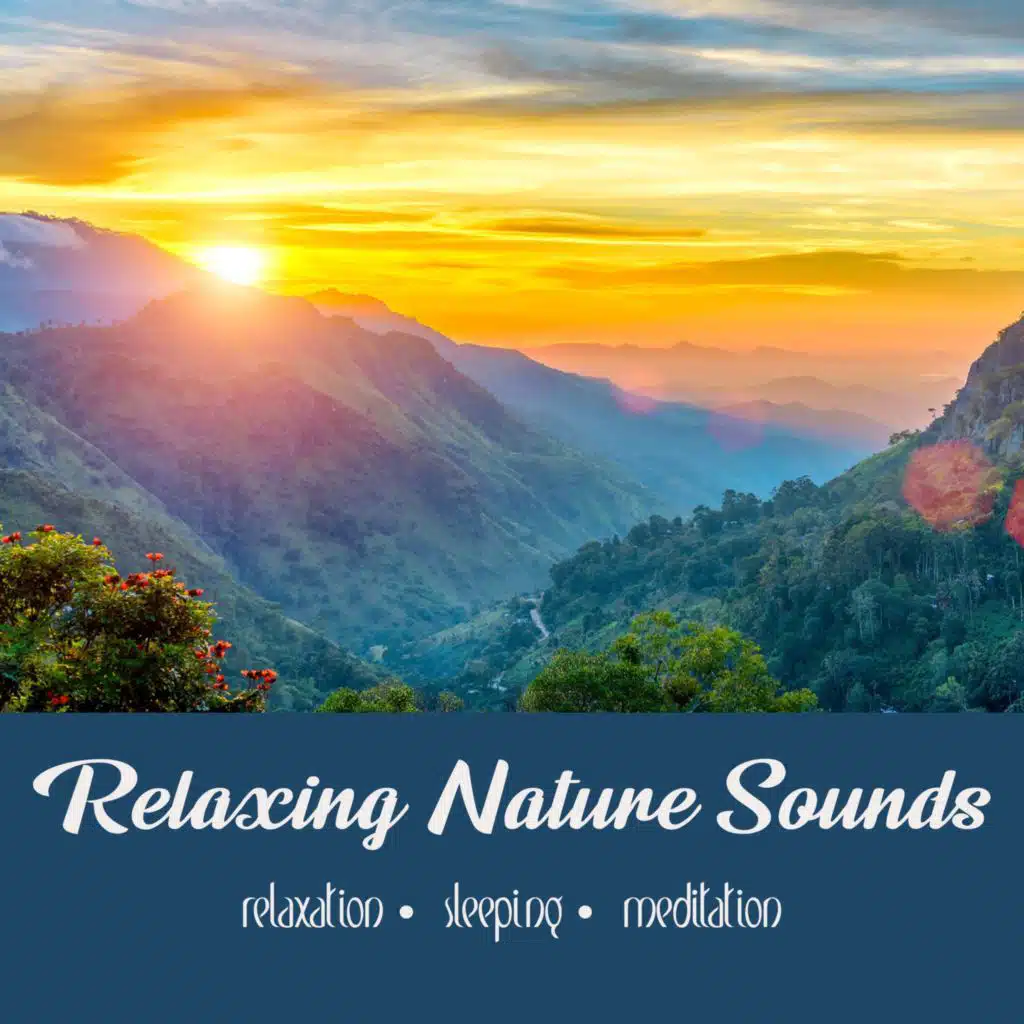 Sunrise in Sri Lanka | One Hour