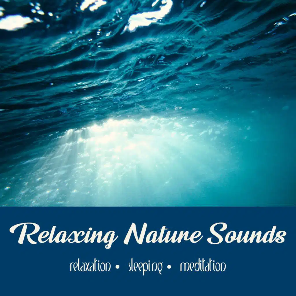 Underwater Whale Song | 1 Hour