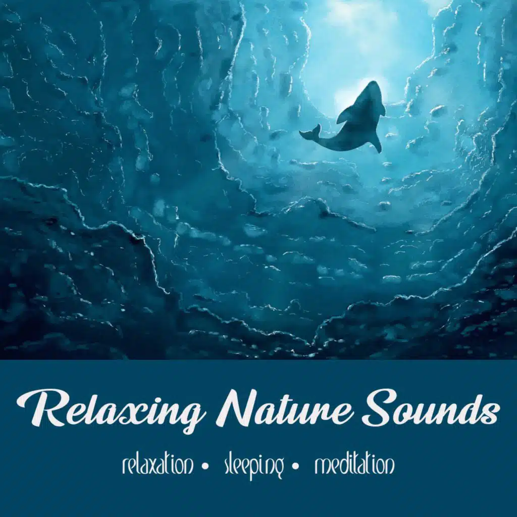 Whale Song & Lady Zen | 15 Min Reflection