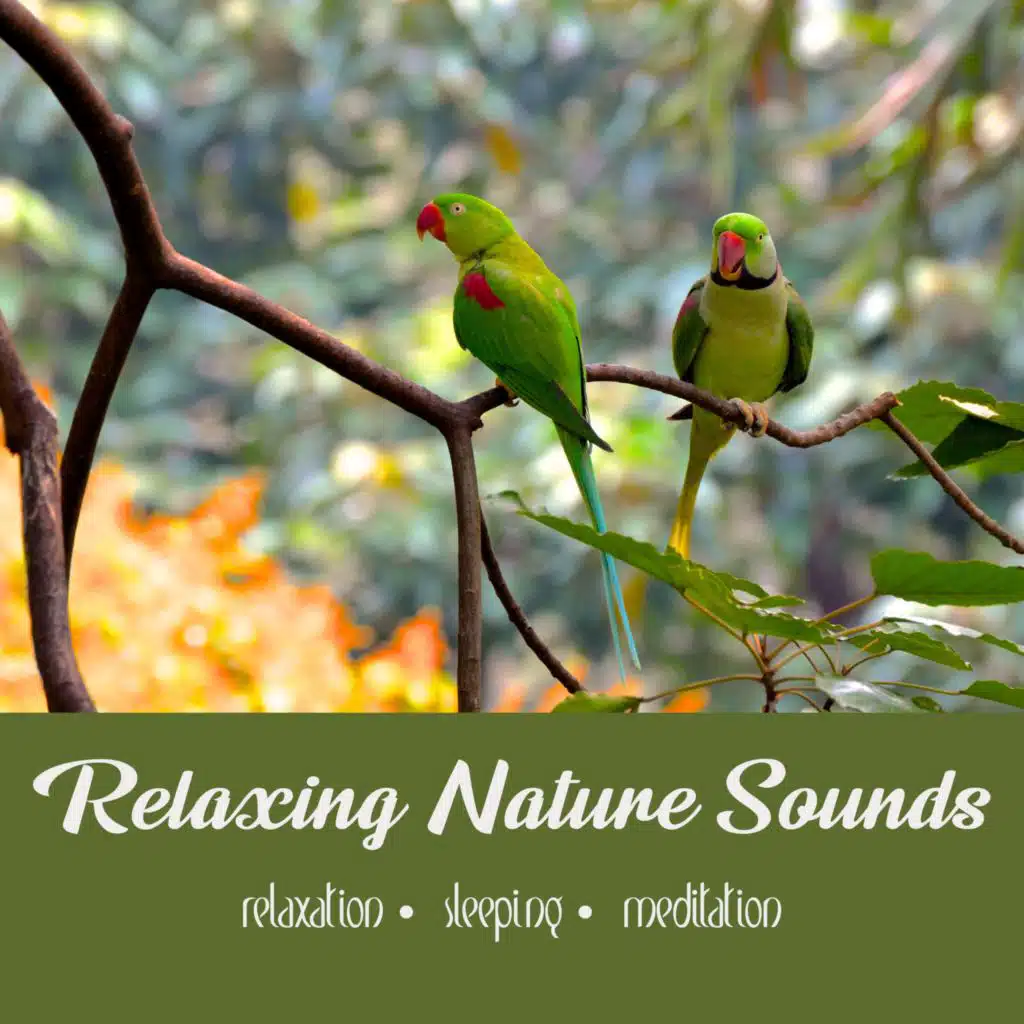 Sian Ka´an Mangroves | 1 Hour