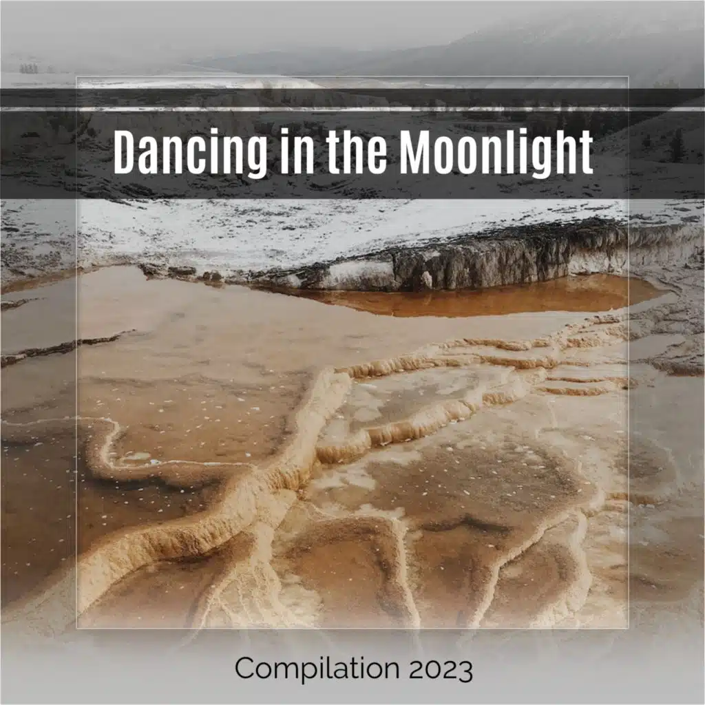 Dancing in the Moonlight