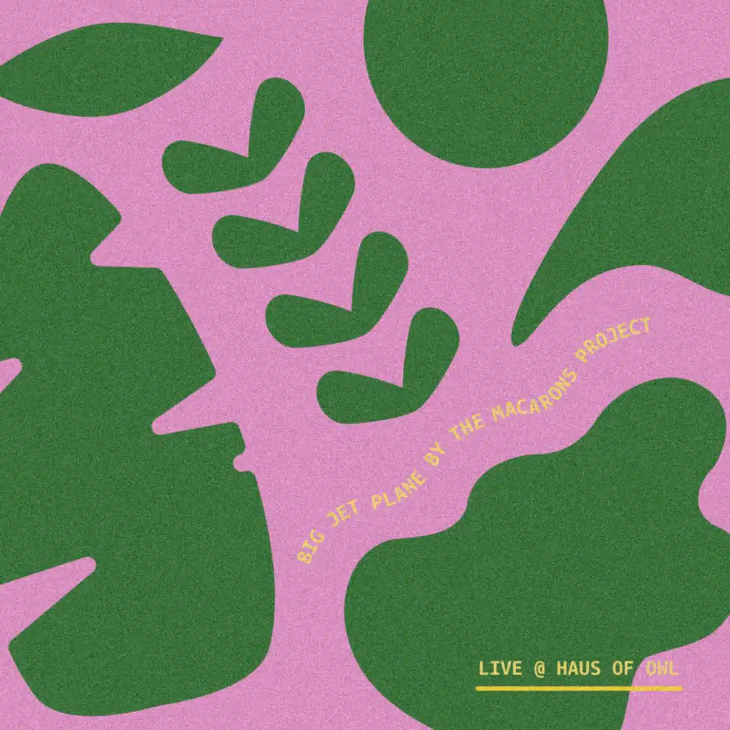 Big Jet Plane (Live at Haus of Owl)