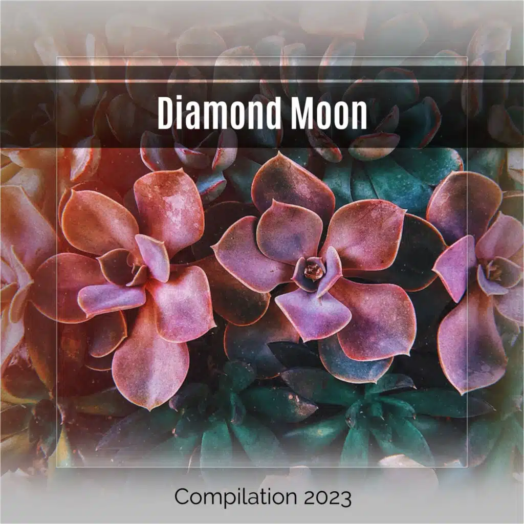 Diamond Moon