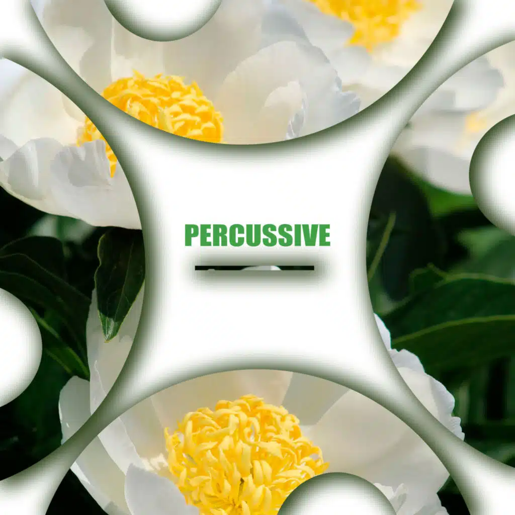 Percussive