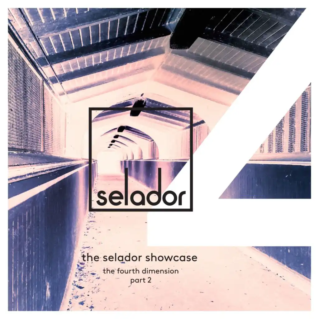 Selador Showcase – The Fourth Dimestion, Pt. 2