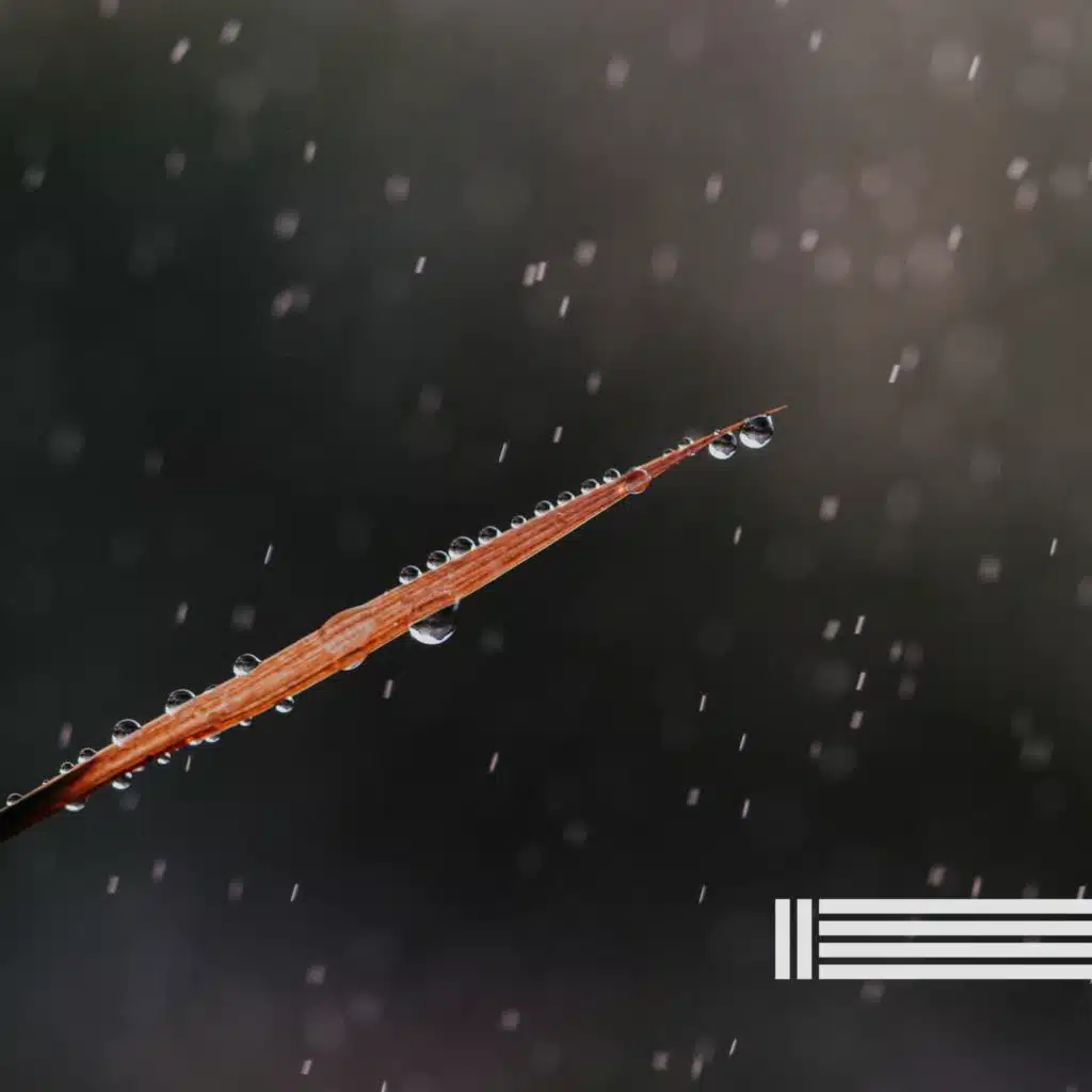 Pluie Nocturne (Boucle)