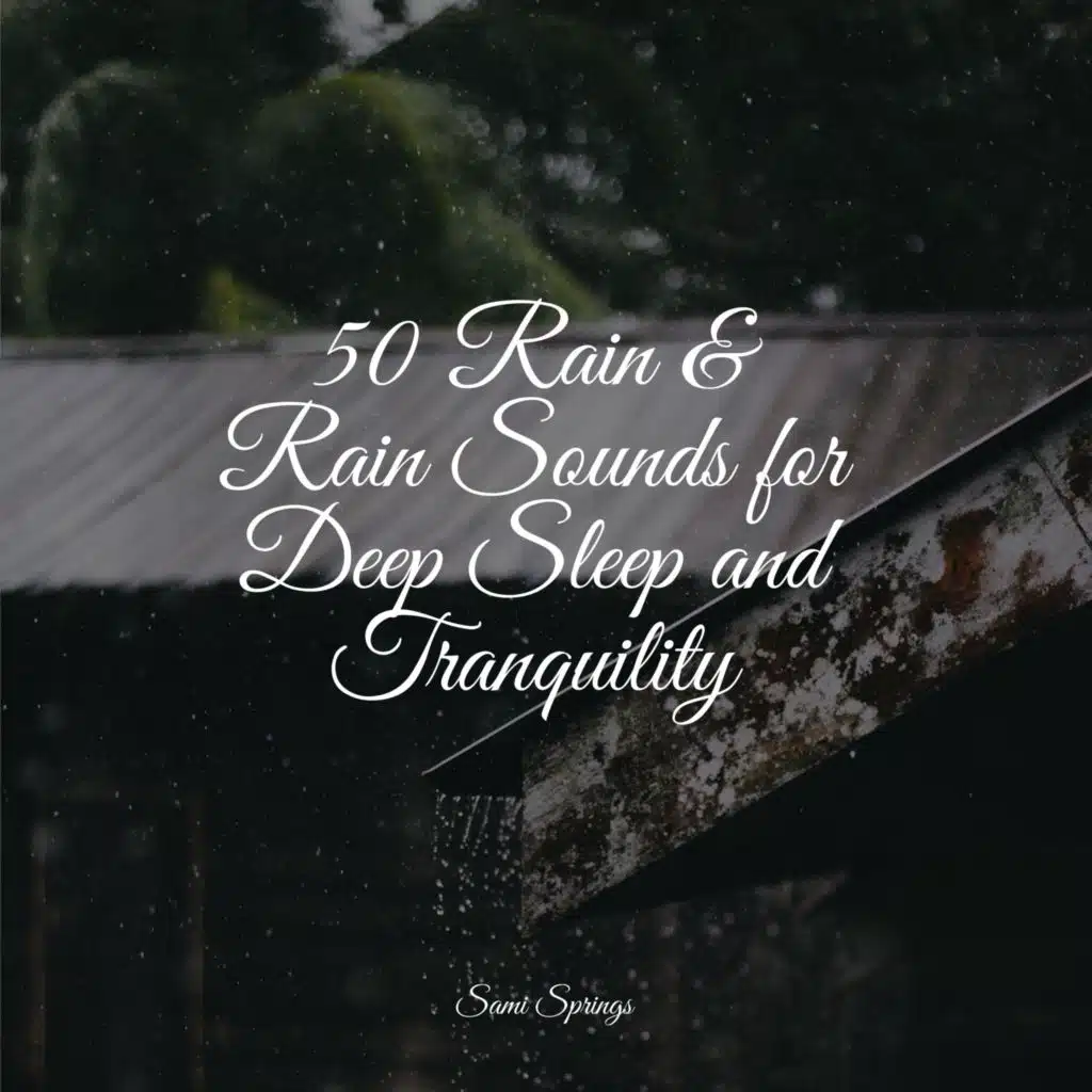 50 Rain & Rain Sounds for Deep Sleep and Tranquility