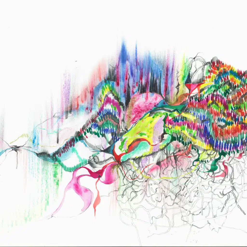 Knot