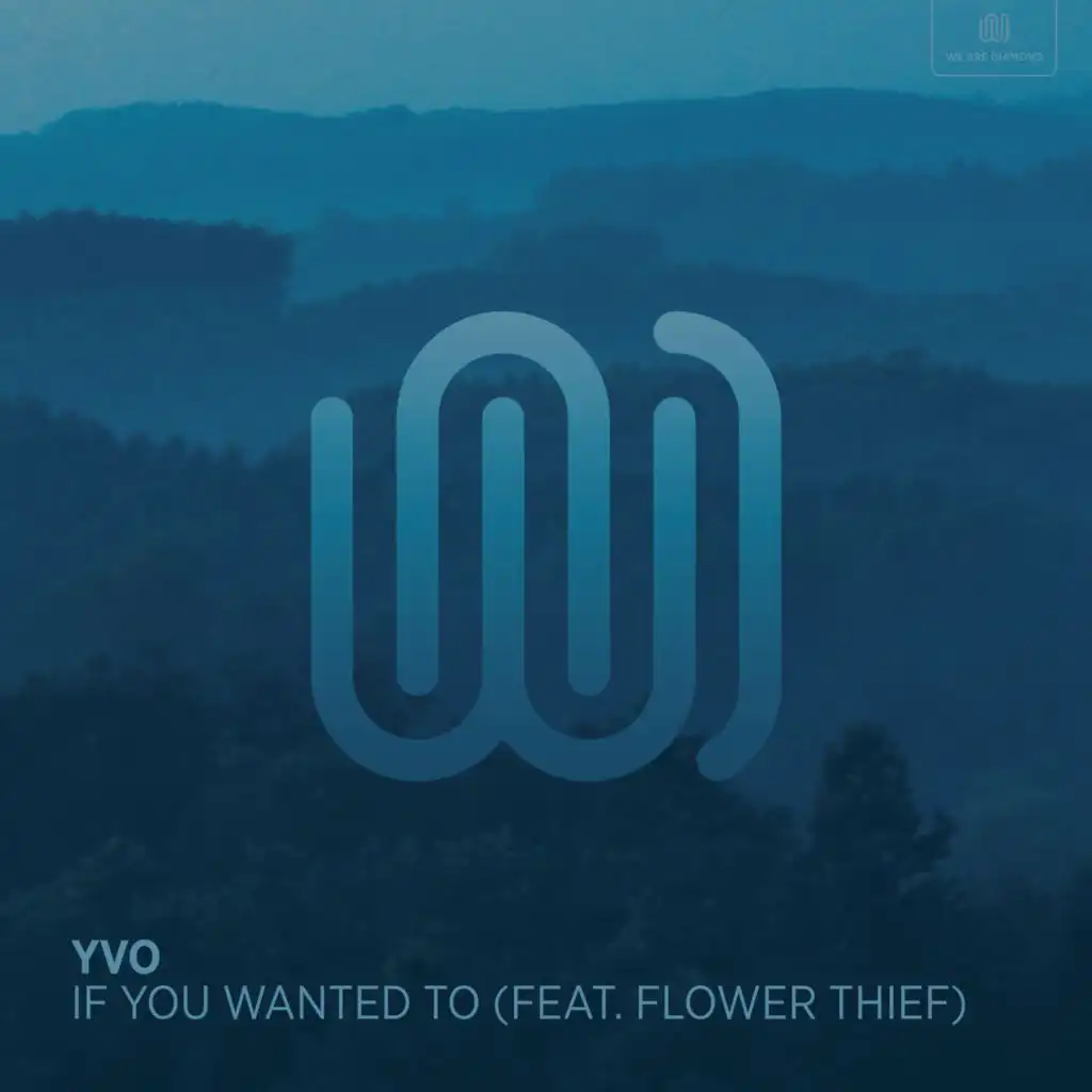 If You Wanted To (feat. flower thief)