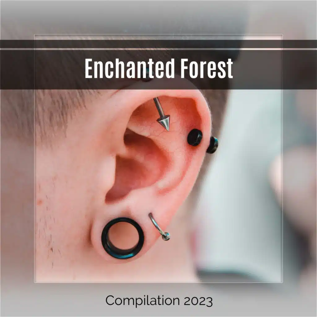 Enchanted Forest