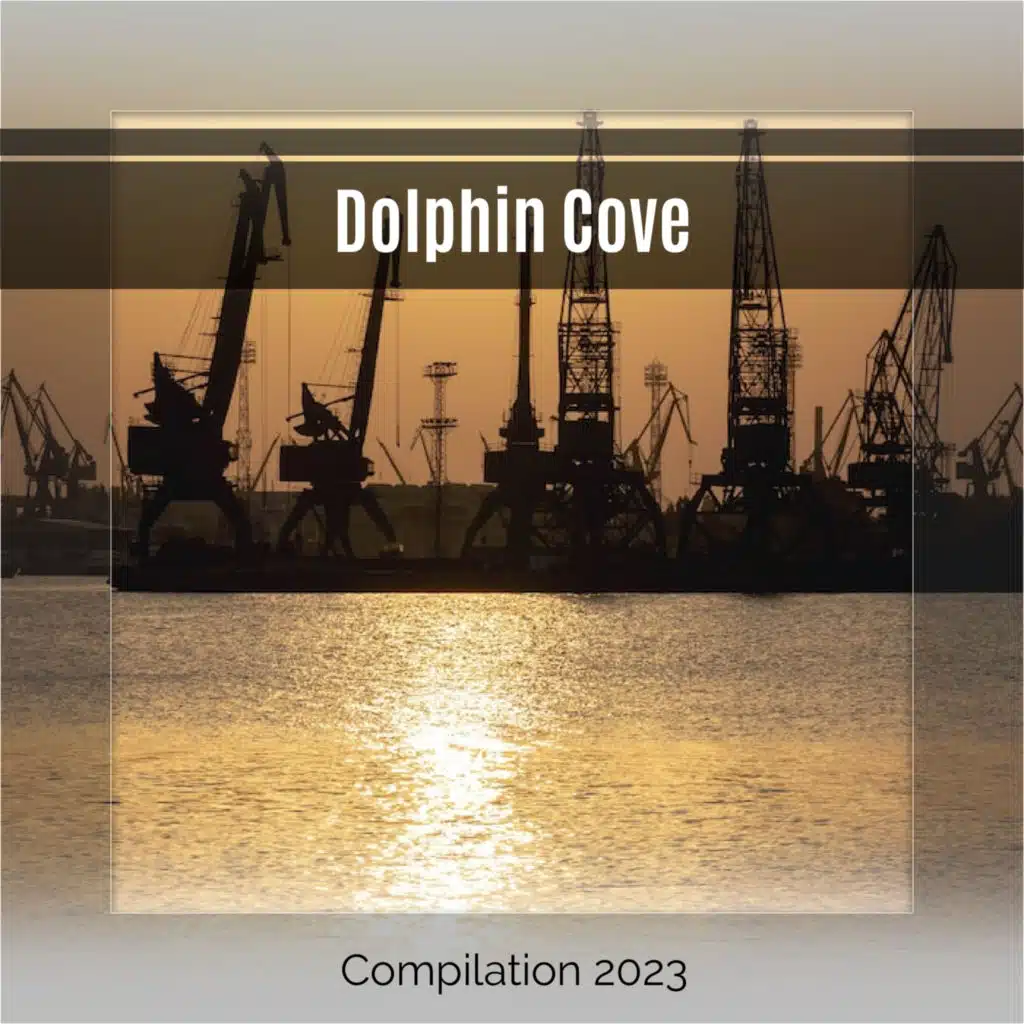 Dolphin Cove