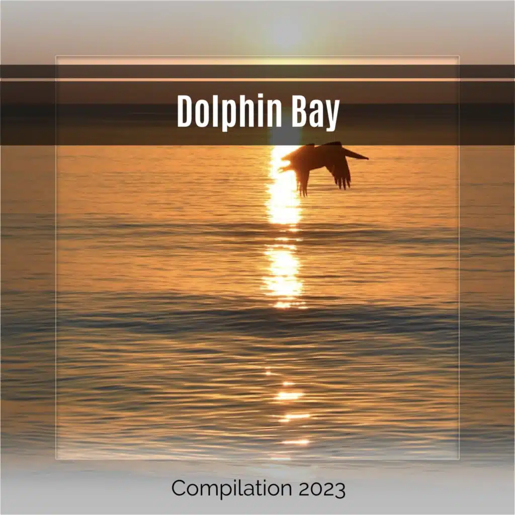 Dolphin Bay